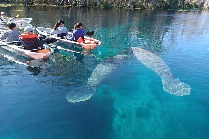 Silver Springs Clear Kayak Or Paddle Board Wildlife Tour (Mar ) - Equipment and Inclusions