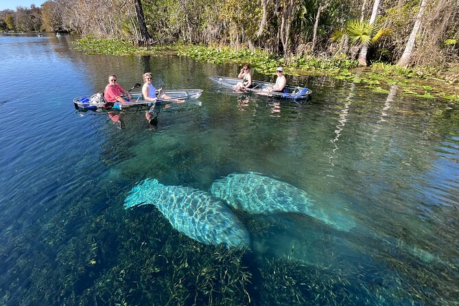 Silver Springs: Clear Kayak Wildlife Adventure - Logistics and Meeting Point