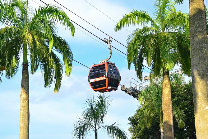 Singapore Cable Car Sky Pass - Pricing and Booking Options