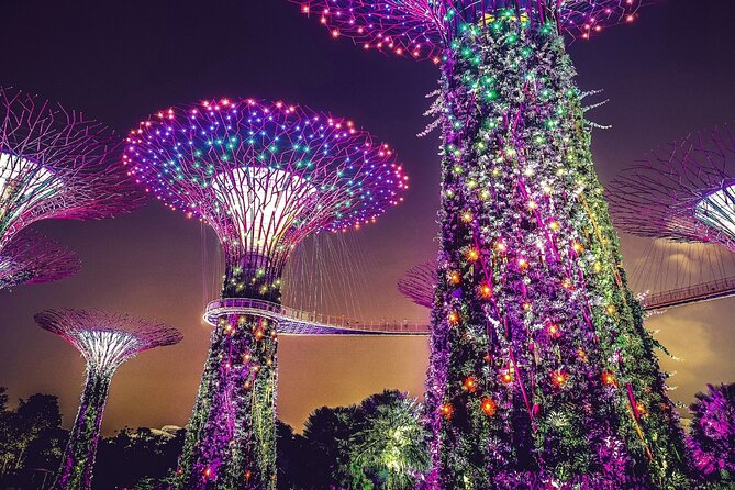 Singapore Gardens and Satay by The Bay Private Night Guided Tour - Itinerary Overview
