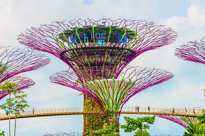Singapore Gardens by the Bay Admission Skip-The-Line E-Ticket - E-Ticket Delivery Process