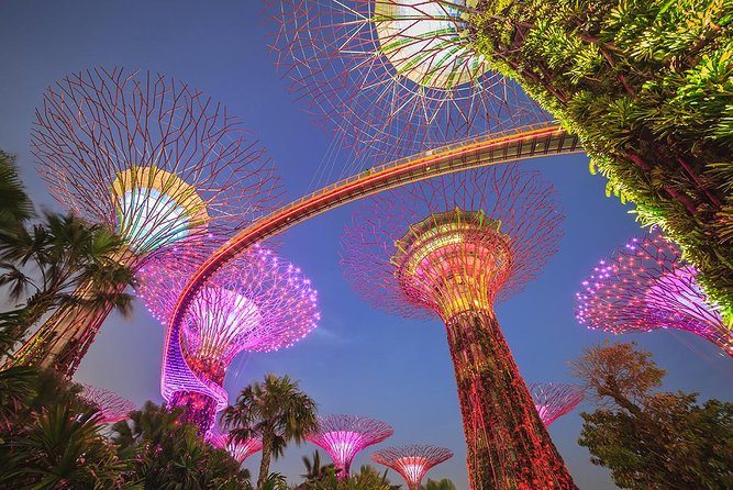 Singapore Gardens by the Bay Tickets & Transfer - Reviews and Feedback