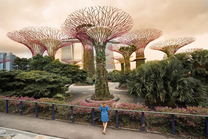 Singapore Instagram Private Walking Tour (Private & All-Inclusive) - Meeting and Pickup