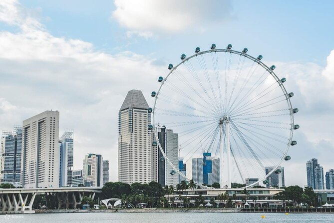 Singapore Panoramic Sightseeing Private Tour With River Cruise - What To Expect During the Tour