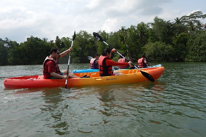 Singapore Round Ketam Kayaking Adventure in Pulau Ubin - Encounter Diverse Wildlife in the Wild