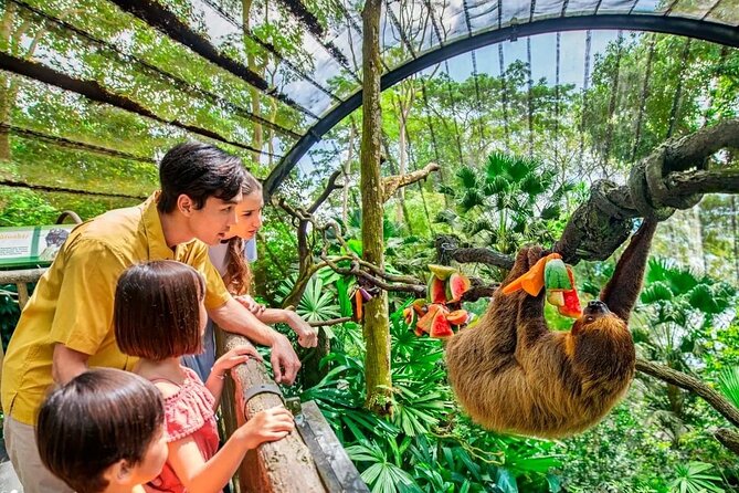 Singapore Zoo & Night Safari Day ( Tickets & Transfer ) - Ticket Options Available