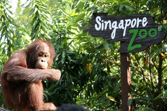 Singapore Zoo - Booking Details