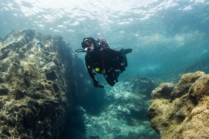 Single Scuba Try-Dive in Puerto Del Carmen - Small Groups - 2 Hours - Included Services