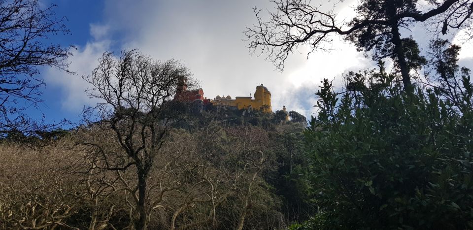Sintra Tour 5 Hours - Tour Operator Information and Recommendations