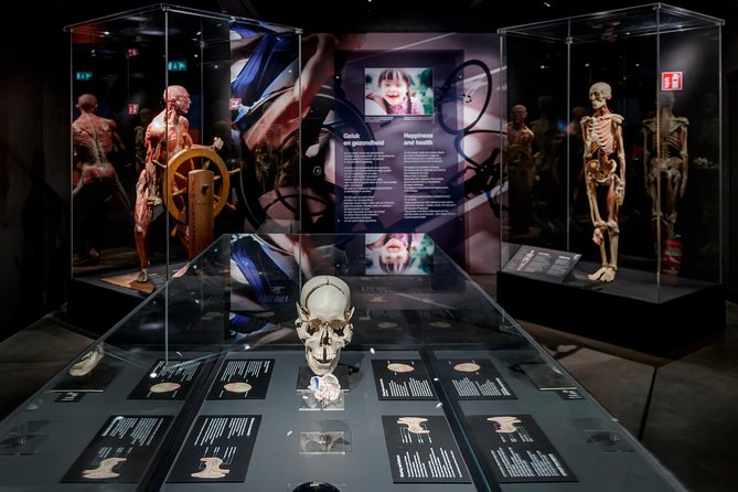 Skip the Line: Body Worlds Amsterdam Ticket - Ticket Details