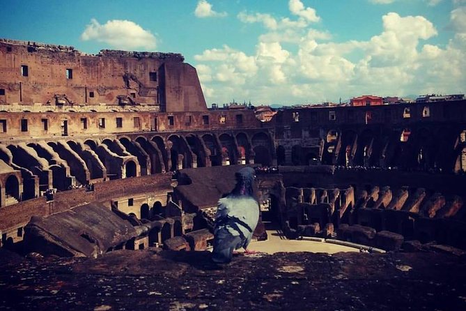 Skip the Line: Colosseum, Palatine Hill, and Roman Forum Private Tour - Meeting and Pickup Details