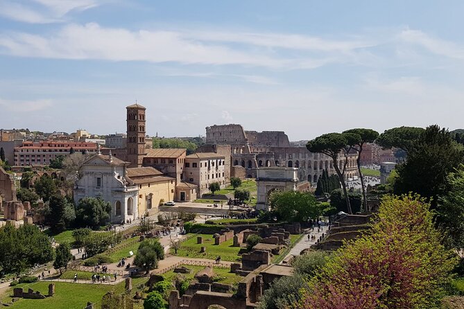 Skip The Line: Colosseum, Roman Forum, Palatine Hill Guided Tour - Ticket Inclusions