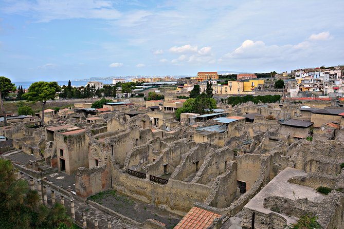 Skip the Line: Herculaneum Ruins Ticket Optional Guided Tour - Fast-Access Entry