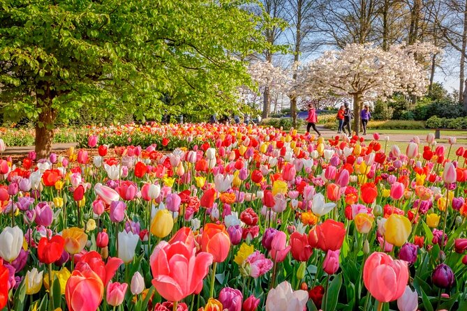 Skip-The-Line Keukenhof Gardens and Tulip Fields Tour From Amsterdam - Private Field Tour Option