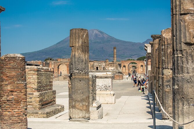 Skip the Line Pompeii Guided Tour From Sorrento - Traveler Resources and Reviews