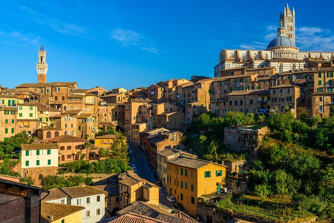 Skip the Line: Siena Duomo and City Walking Tour - Traveler Resources