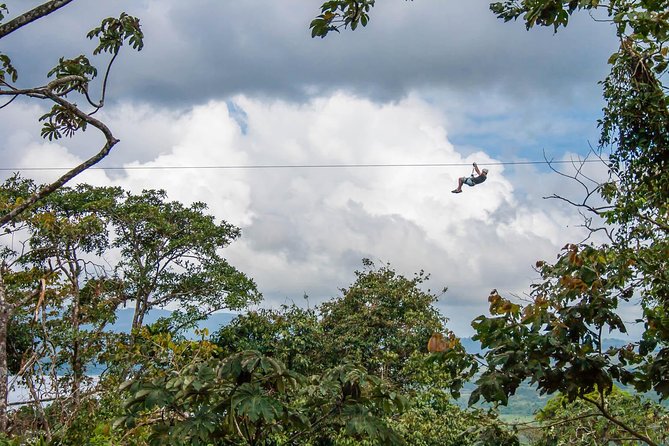 Sky Adventures Park Zipline Course and Aerial Tram in Arenal Park - Experience Highlights