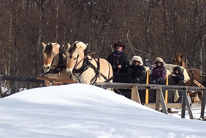 Sleigh Ride W/ Snacks - Experience Arctic Farm Life - Farm Animals Interaction Experience