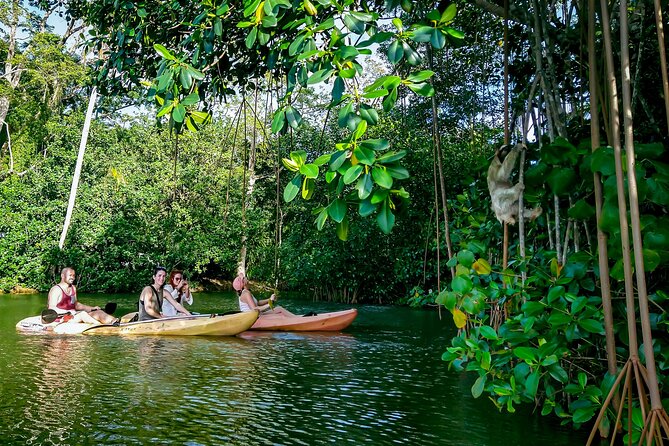 Sloth and Kayak Tour in Punta Uva Beach and Jungle - Booking Details