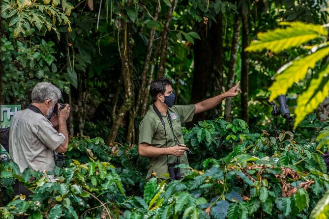 Sloth Watching Tour - Inclusions and Amenities