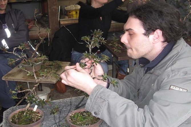 Small-Group 2-Hour Bonsai-Making Lesson in Tokyo (Mar ) - Logistics and Information