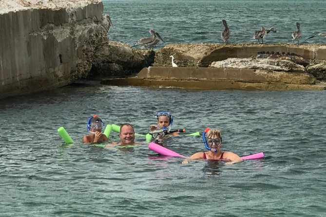 Small Group 2 Hour Dolphin Cruise With Snorkeling to Shell Key - Customer Reviews