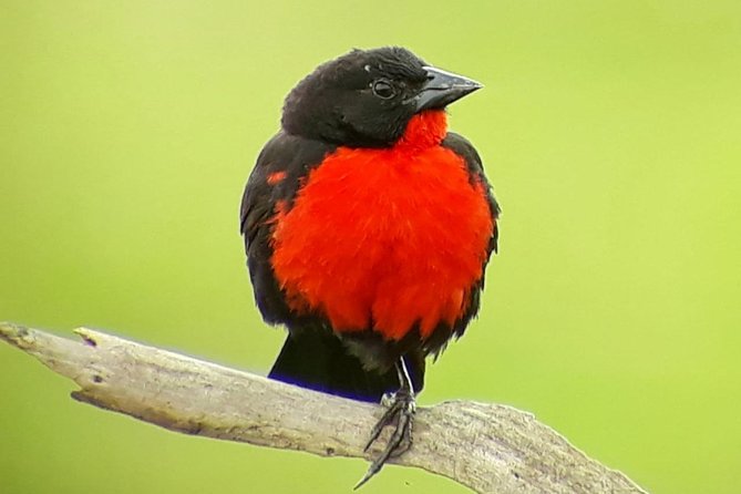 Small-Group 3-Hour Guided Nature Hike, Monteverde Cloud Forest (Mar ) - Meeting Point