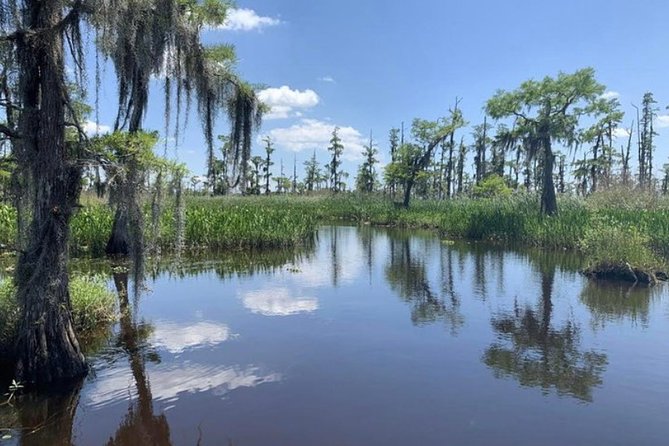 Small-Group Airboat Swamp Tour With Downtown New Orleans Pickup - Tour Experience