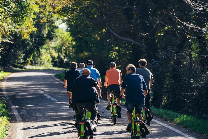 Small-Group Amarone Wine E-Bike Tour From Verona - Inclusions