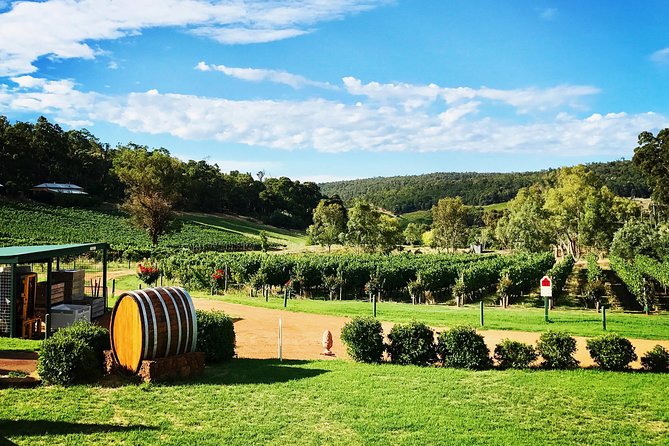 Small-Group Bickley Valley Wine Tour - Lunch Experience