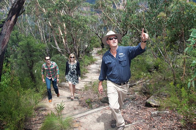 Small-Group Blue Mountains Tour With Bush Walks and Featherdale Wildlife Park - Tour Experience