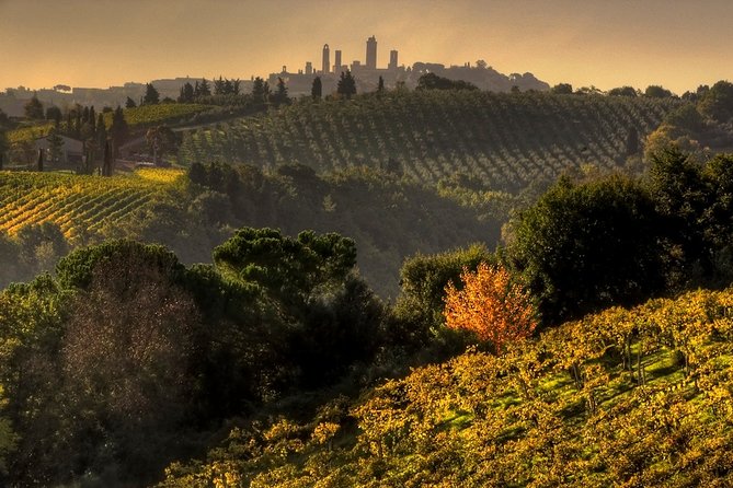 Small-Group Chianti and San Gimignano Sunset Trip From Siena - Customer Reviews and Feedback