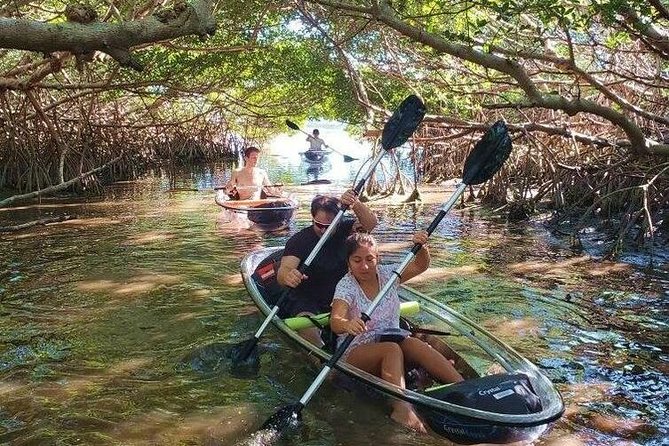 Small-Group Clear Kayak Tour in Shell Key - Glass-Bottom Kayaks and Wildlife Viewing