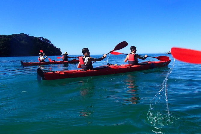 Small-Group Day Tour: Kayak and Hike Abel Tasman National Park  - Marahau - Additional Information