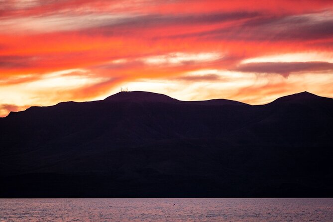 Small Group Dolphin Sunset Tour on Electric Catamaran Lanzarote - Cancellation Policy