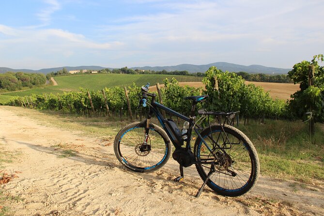 Small Group E-Bike Chianti Tour With Farm Lunch From Siena - Itinerary Highlights