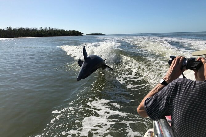 Small-Group Everglades Adventure From Fort Lauderdale (Mar ) - Customer Reviews