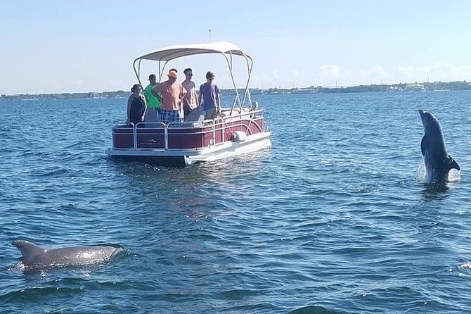 Small Group Florida Keys Eco Tour by Boat - Customer Reviews and Feedback