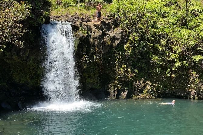 Small-Group Full-Day Maui Nature Tour (Mar ) - Safety Concerns