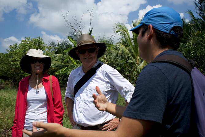 Small Group Guayaquil and Cocoa Farm Full-Day Tour - Tour Highlights