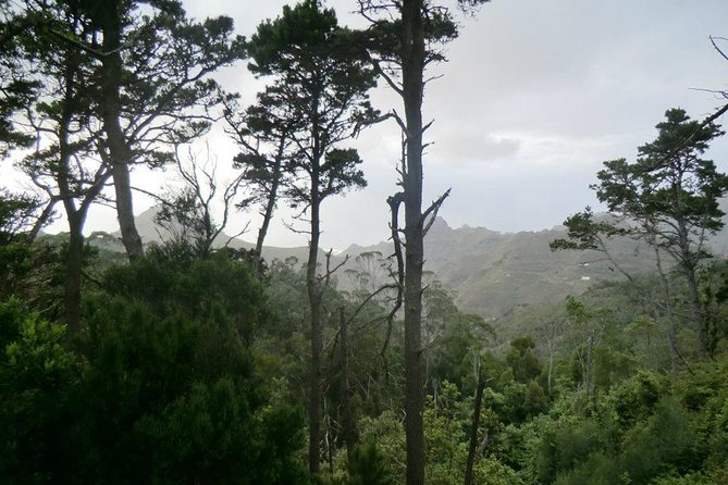 Small Group Guided Hiking in Anaga Rural Park in Tenerife - Insider Tips for a Great Experience