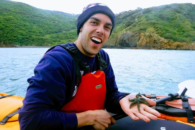 Small Group Guided Sea Kayaking in Akaroa Marine Reserve - Meeting and Pickup Details