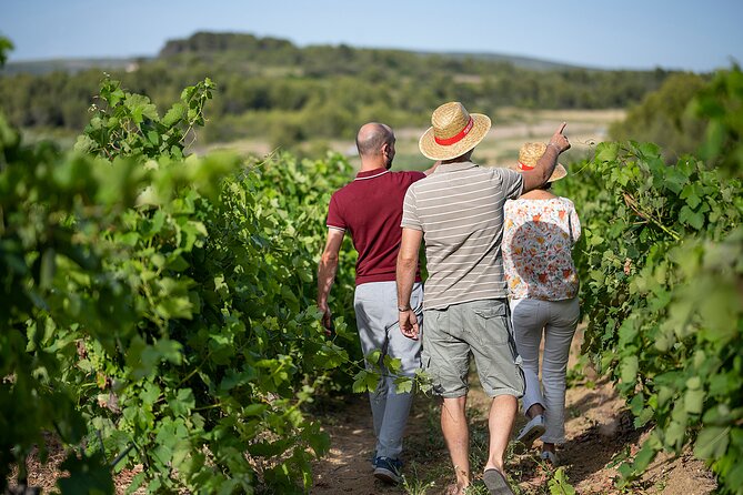 Small-Group Half-Day Châteaux of Montpellier Wine Tour - Tour Logistics