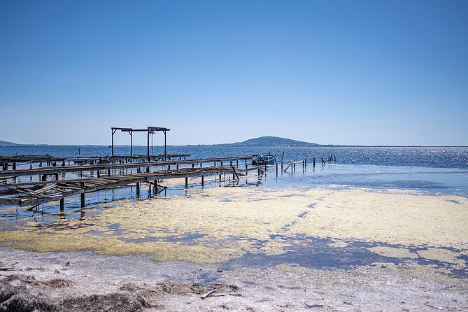 Small-Group Half-Day Languedoc Wine and Oyster Tour From Montpellier - Inclusions and Logistics