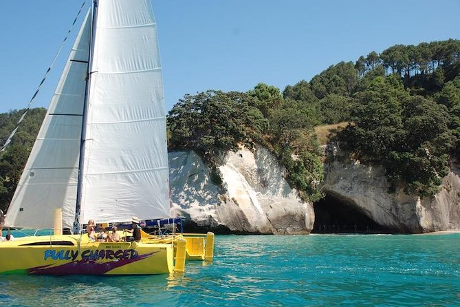 Small-Group Half-Day Sailing Tour With Snorkeling, Cooks Beach  - Whitianga - Half-Day Sailing Tour From Cooks Beach