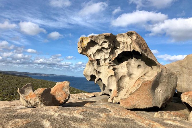 Small Group Kangaroo Island Tour - Flinders Chase - Booking Information