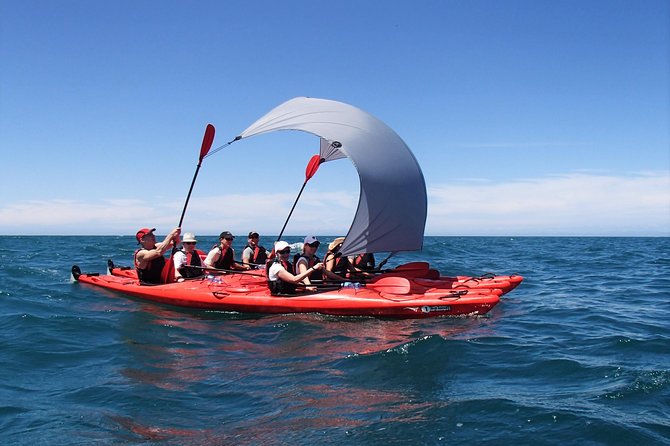 Small-Group Kayak Day Tour With Return Water Taxi, Abel Tasman (Mar ) - Cancellation Policy and Pricing