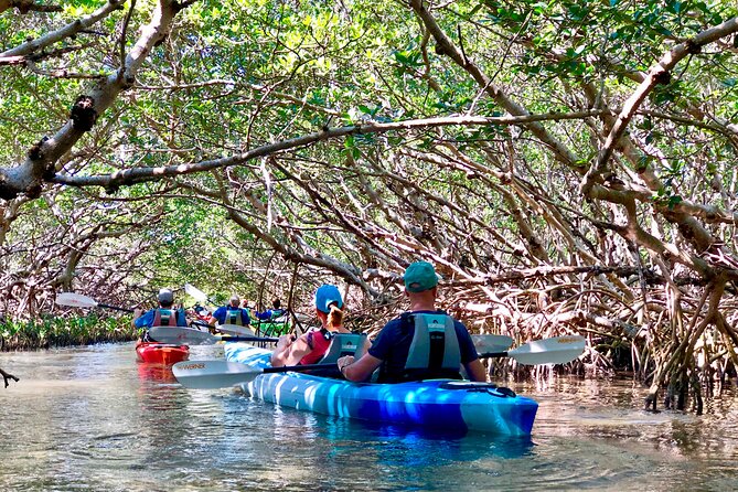 Small Group Kayak Tour of the Shell Key Preserve - Duration and Location