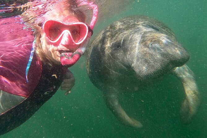 Small Group Manatee Snorkel Tour With In-Water Guide and Photographer - Cancellation Policy
