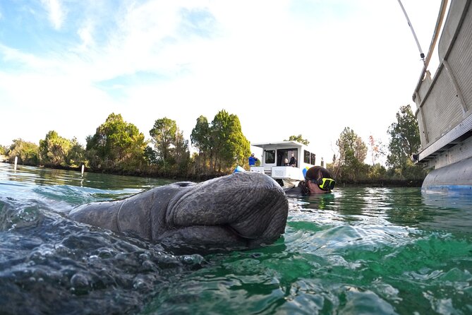 Small Group Manatee Swim Tour With In Water Guide - Inclusions and Services